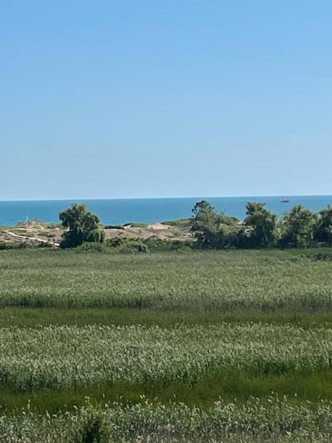 Pearl Sunshine Appartments Πριμόρσκο Εξωτερικό φωτογραφία